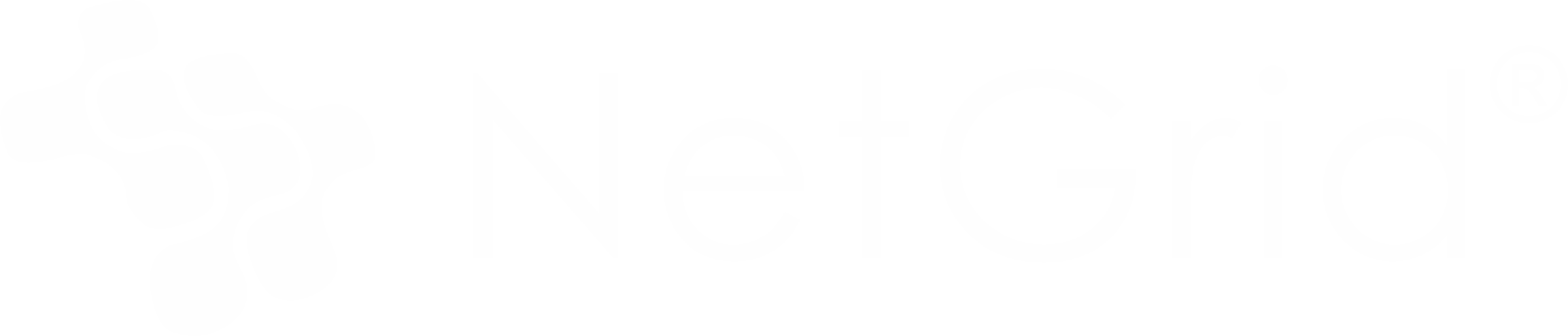 NetGrid